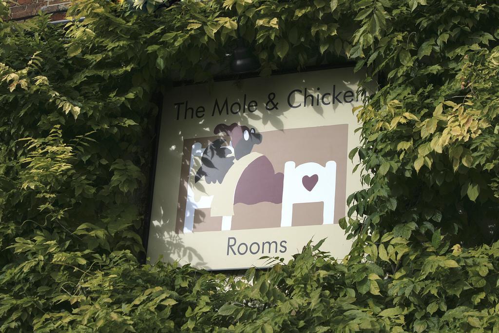 The Mole And Chicken Hotel Long Crendon Room photo